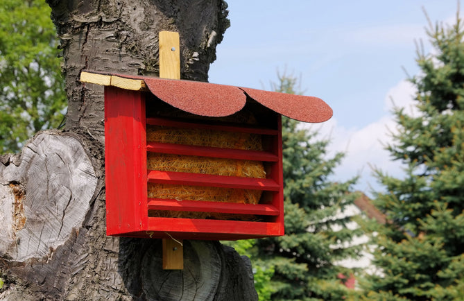 Roter Florfliegenkasten aus Holz mit schrägem Dach, befestigt an einem Baumstamm im Garten