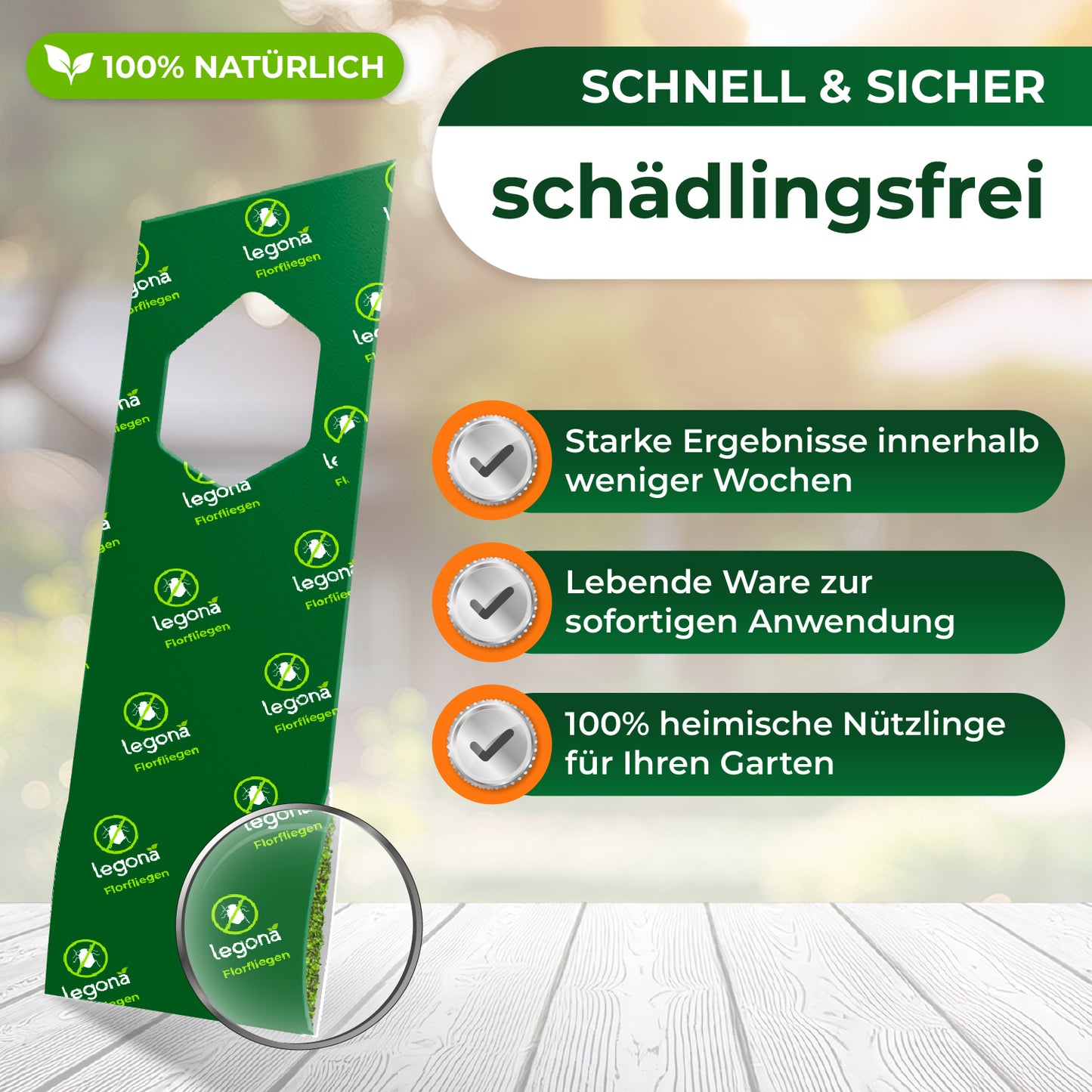 Florfliegenlarven gegen Blattläuse und Thripse