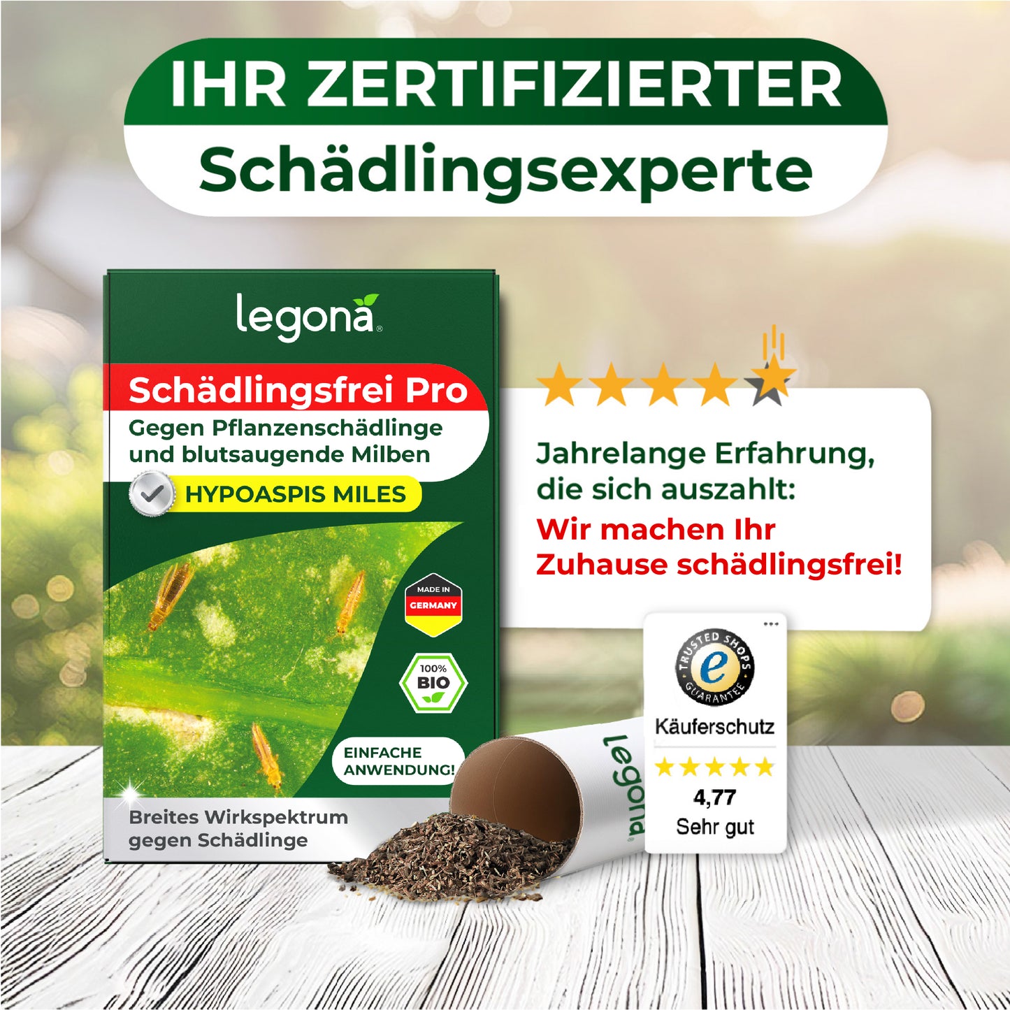 Raubmilben Hypoaspis miles gegen Thripse, Trauermücken und die rote Vogelmilbe