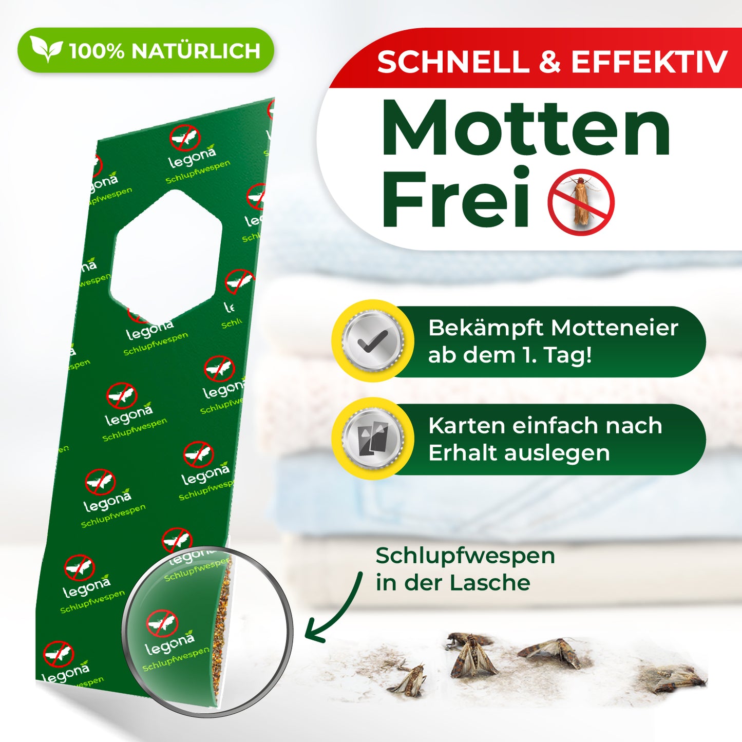 Schlupfwespen gegen Kleidermotten (5-fach Lieferung)