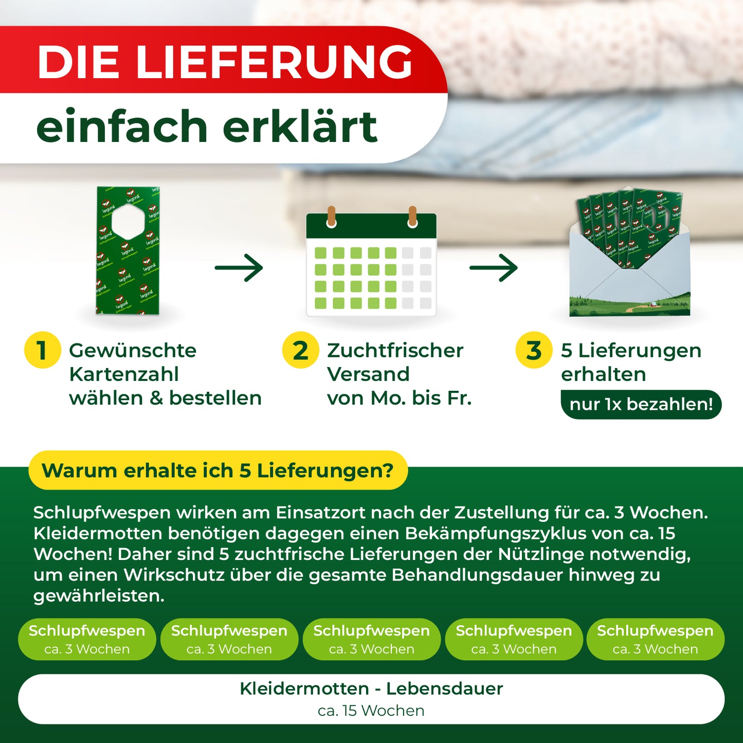 Schlupfwespen gegen Kleidermotten (5-fach Lieferung)