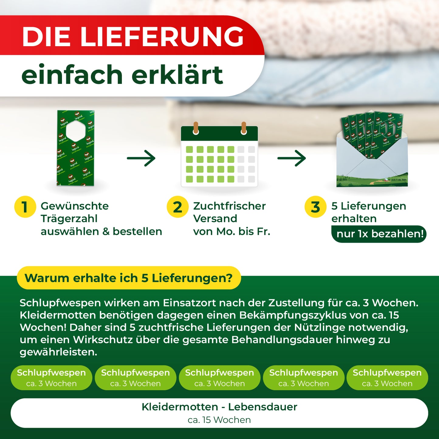 Schlupfwespen gegen Kleidermotten