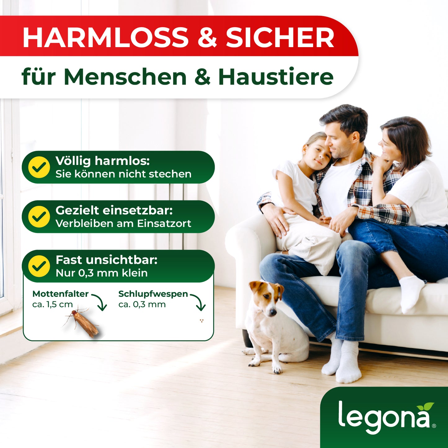 Schlupfwespen gegen Kleidermotten