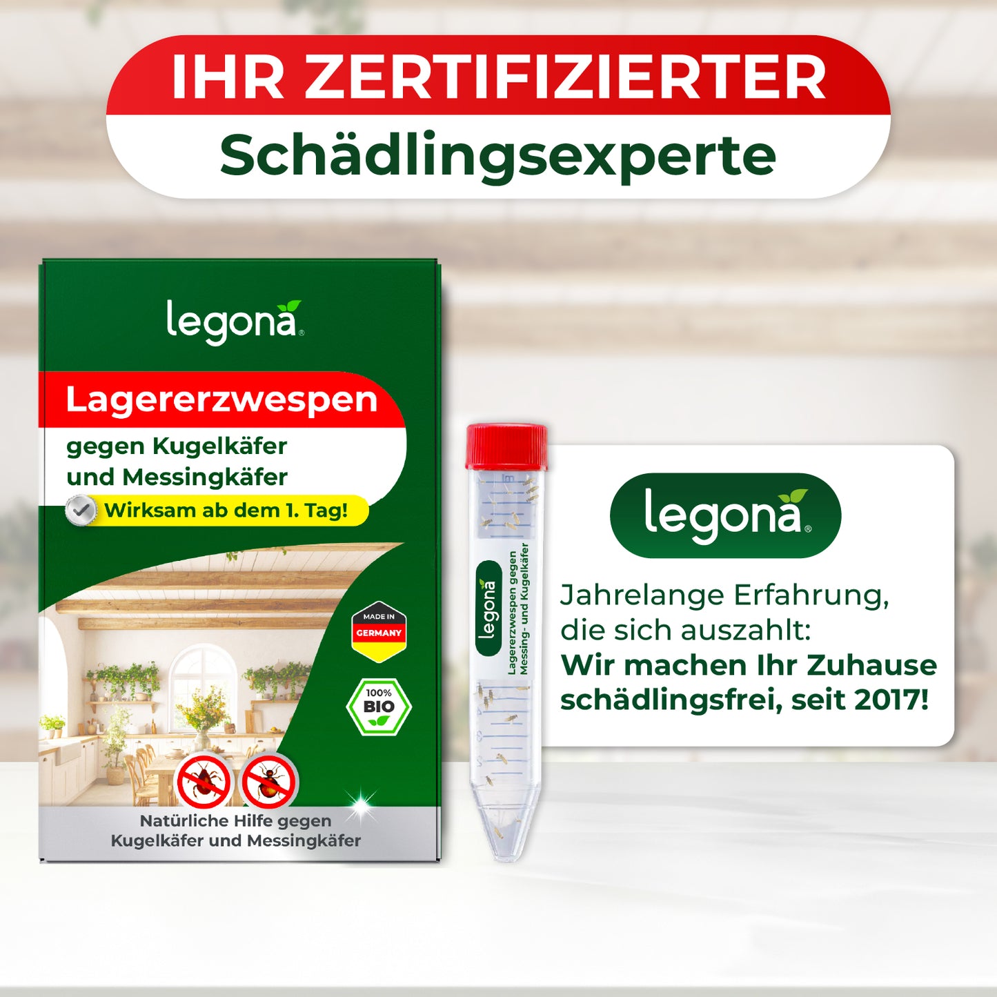 Lagererzwespen gegen Kugelkäfer & Messingkäfer