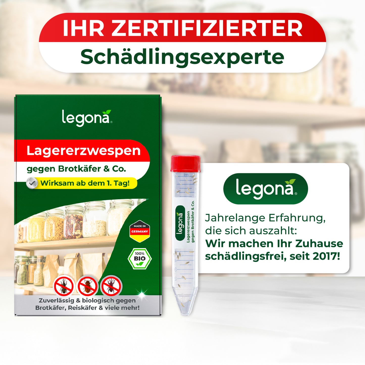 Lagererzwespen gegen Brotkäfer, Reiskäfer & Tabakkäfer