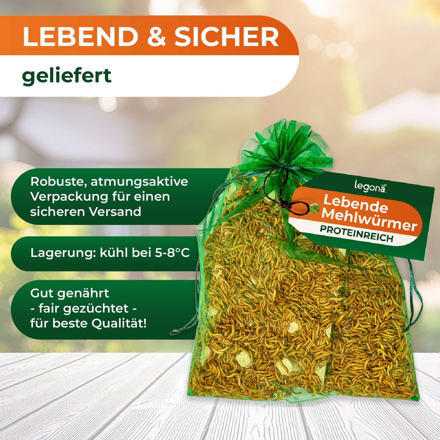 Grüner Netzbeutel mit lebenden Mehlwürmern und grünem Etikett mit der Aufschrift 'Lebende Mehlwürmer PROTEINREICH' vor unscharfem Gartenhintergrund