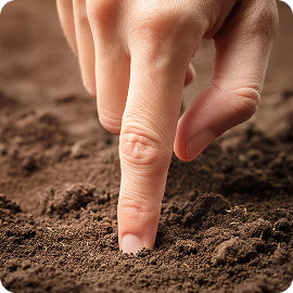 Finger, der in lockere Erde gedrückt wird und Loch bildet