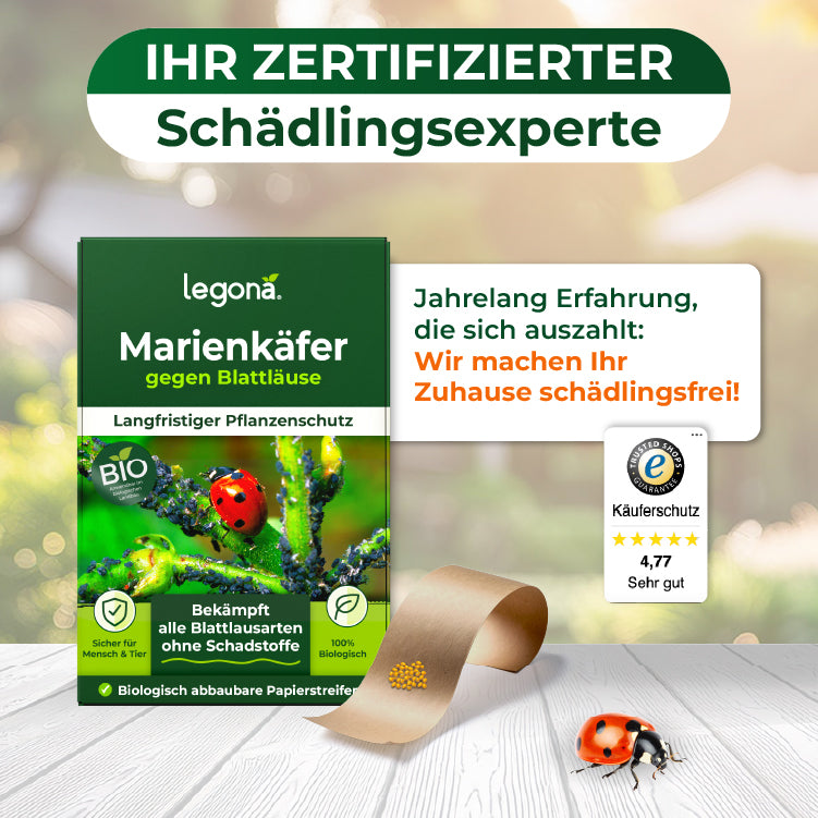 Legona Marienkäfer gegen Blattläuse mit Text 'Ihr zertifizierter Schädlingsexperte' und 'Wir machen Ihr Zuhause schädlingsfrei', inklusive Bewertung 4,77 Sterne und biologisch abbaubare Papierstreifen