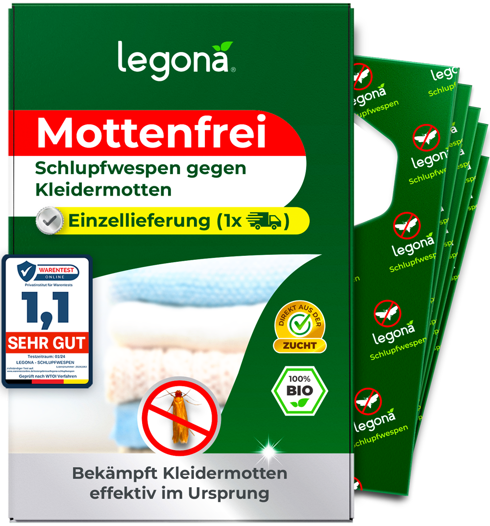 Schlupfwespen gegen Kleidermotten