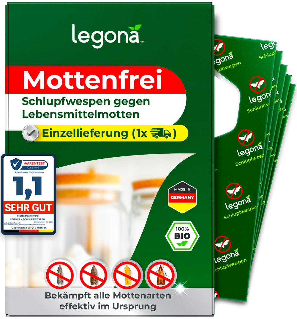 Schlupfwespen gegen Lebensmittelmotten