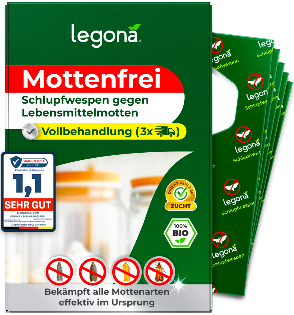 Schlupfwespen gegen Lebensmittelmotten
