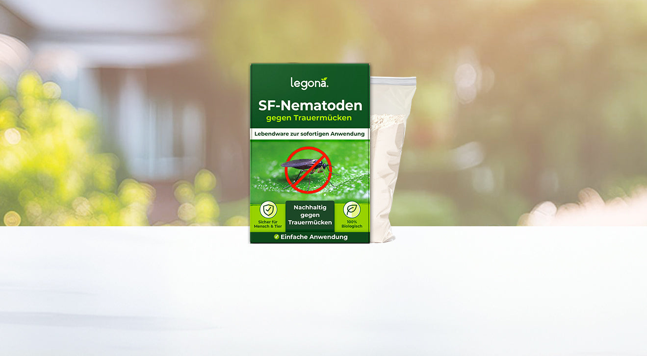 Legona SF-Nematoden gegen Trauermücken in grüner Verpackung mit Hinweis auf nachhaltige und einfache Anwendung