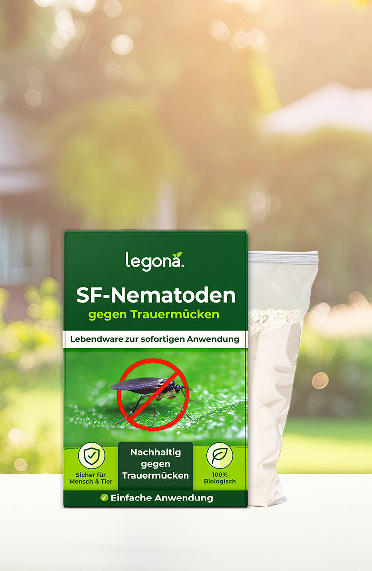 Legona SF-Nematoden gegen Trauermücken, Sicher für Mensch & Tier, 100% biologisch vor Gartenhintergrund