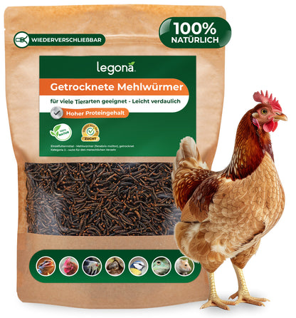Packung mit getrockneten Mehlwürmern der Marke Legona neben einem stehenden Huhn