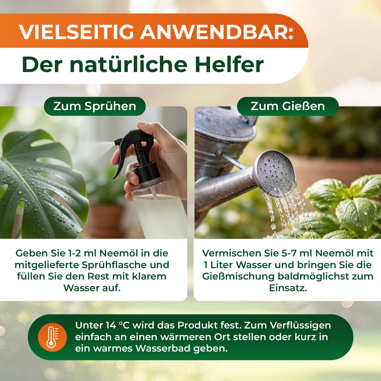 Zwei Fotos zeigen links eine Hand, die eine Sprühflasche auf eine Pflanze richtet, rechts eine Gießkanne, die ein Neemöl-Wasser-Gemisch auf eine Pflanze gießt, dazu Text mit Anwendungshinweisen für Neemöl zum Sprühen und Gießen.
