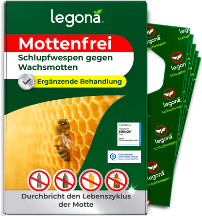 Schlupfwespen gegen Wachsmotten