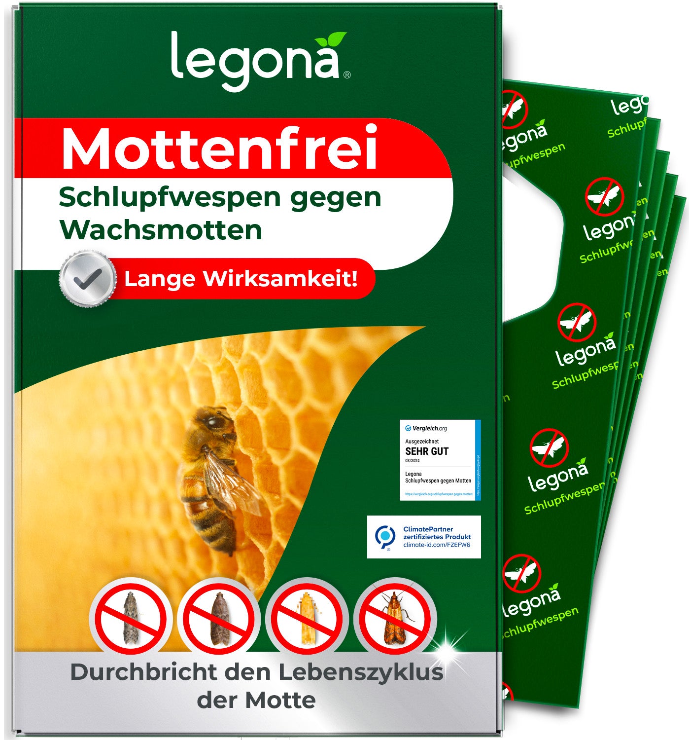 Schlupfwespen gegen Wachsmotten