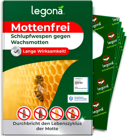 Schlupfwespen gegen Wachsmotten