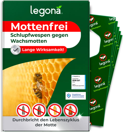 Schlupfwespen gegen Wachsmotten