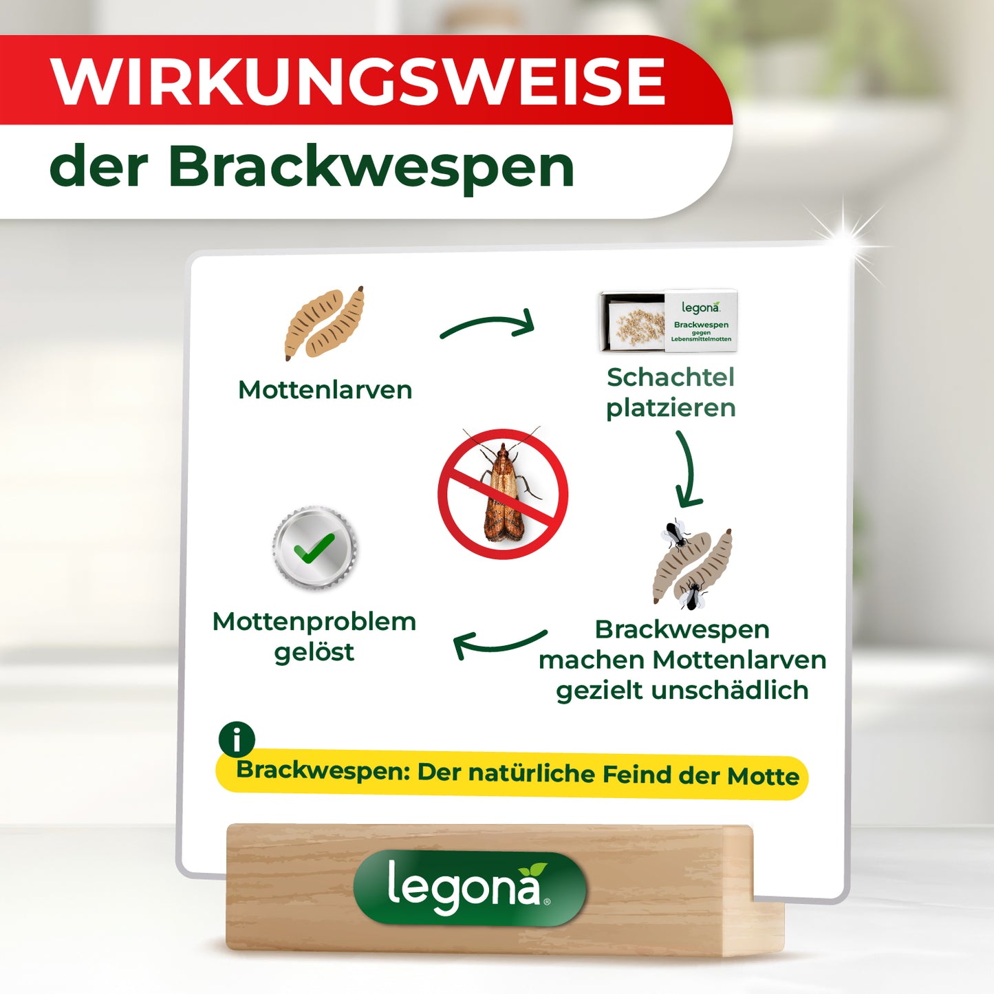 Brackwespen gegen Lebensmittelmotten für Lagerflächen