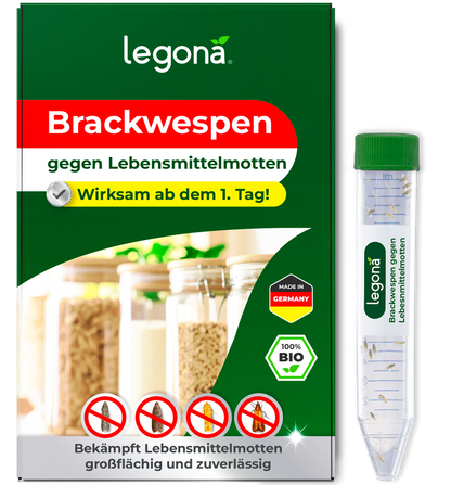 Brackwespen gegen Lebensmittelmotten auf Gewerbeflächen