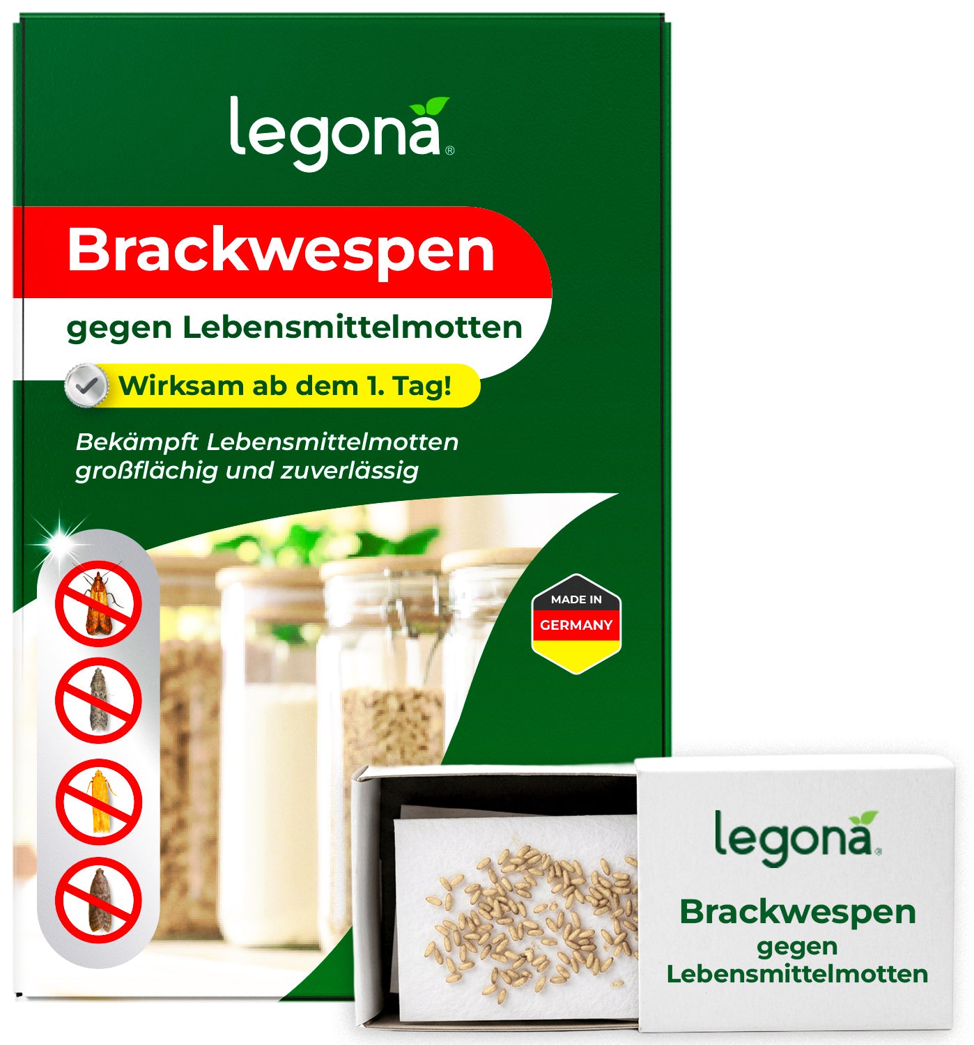 Brackwespen gegen Lebensmittelmotten für Lagerflächen