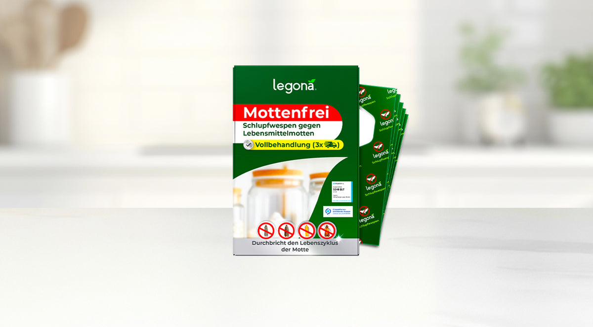 Packung mit legona Mottenfrei Schlupfwespen gegen Lebensmittelmotten als Vollbehandlung vor unscharfem Hintergrund