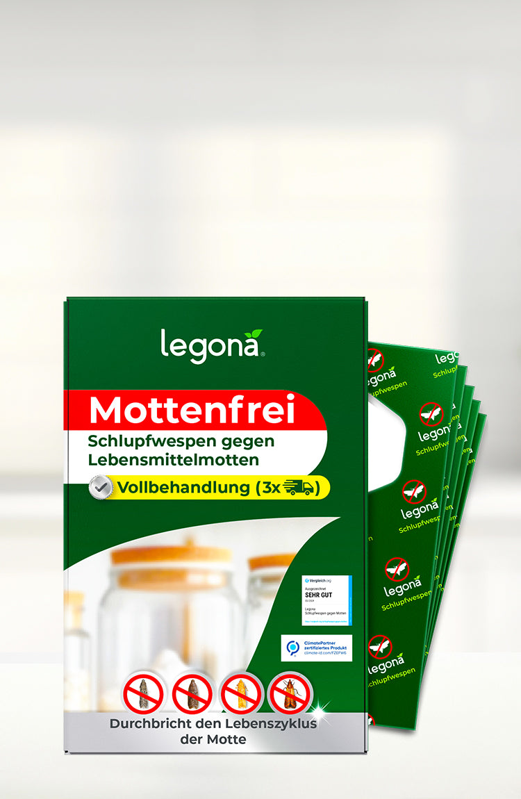 Packung mit legona Mottenfrei Schlupfwespen gegen Lebensmittelmotten als Vollbehandlung vor unscharfem Hintergrund