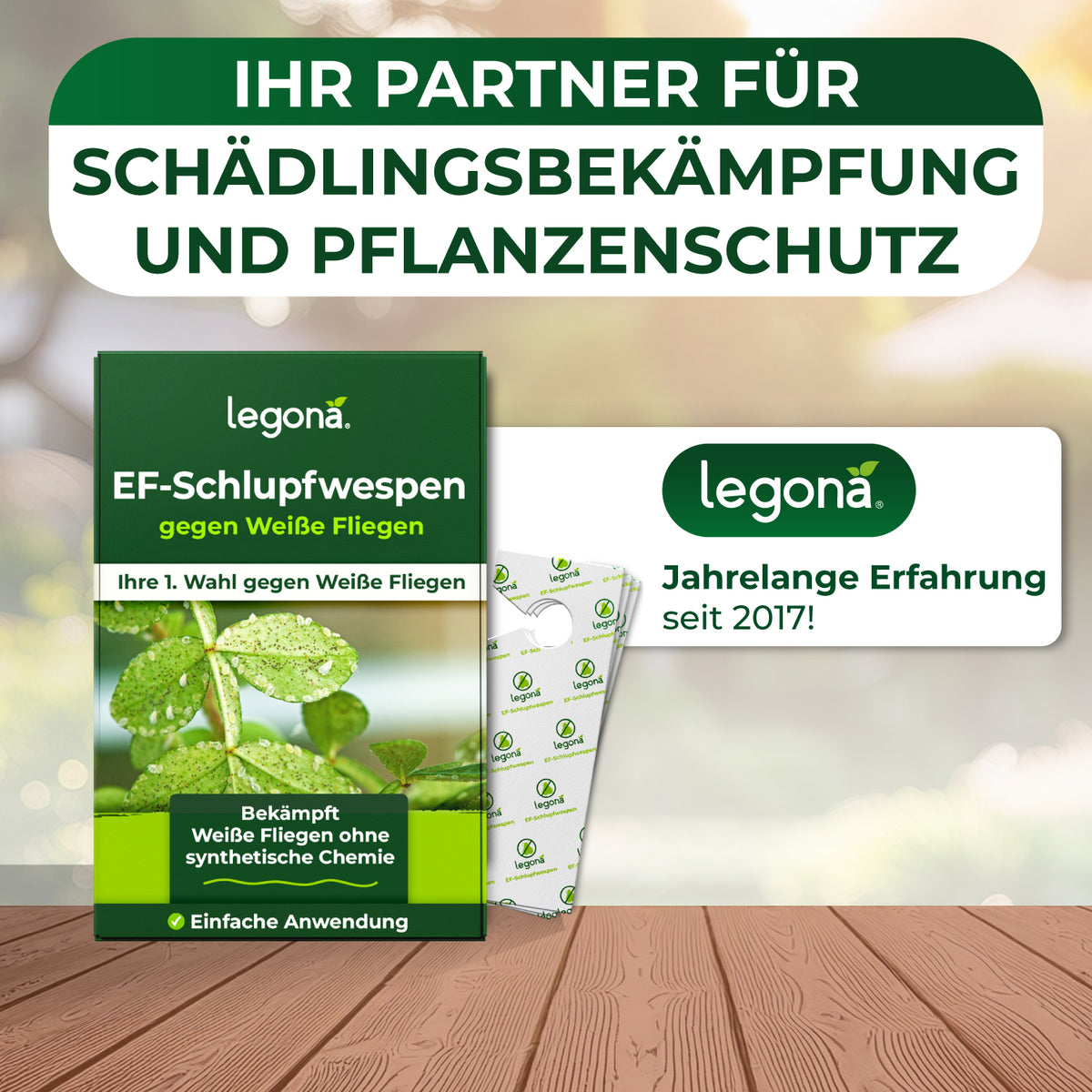 EF-Schlupfwespen gegen Weiße Fliegen