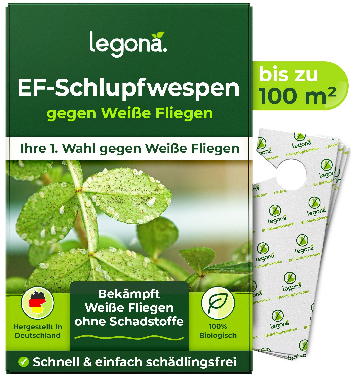 EF-Schlupfwespen gegen Weiße Fliegen.