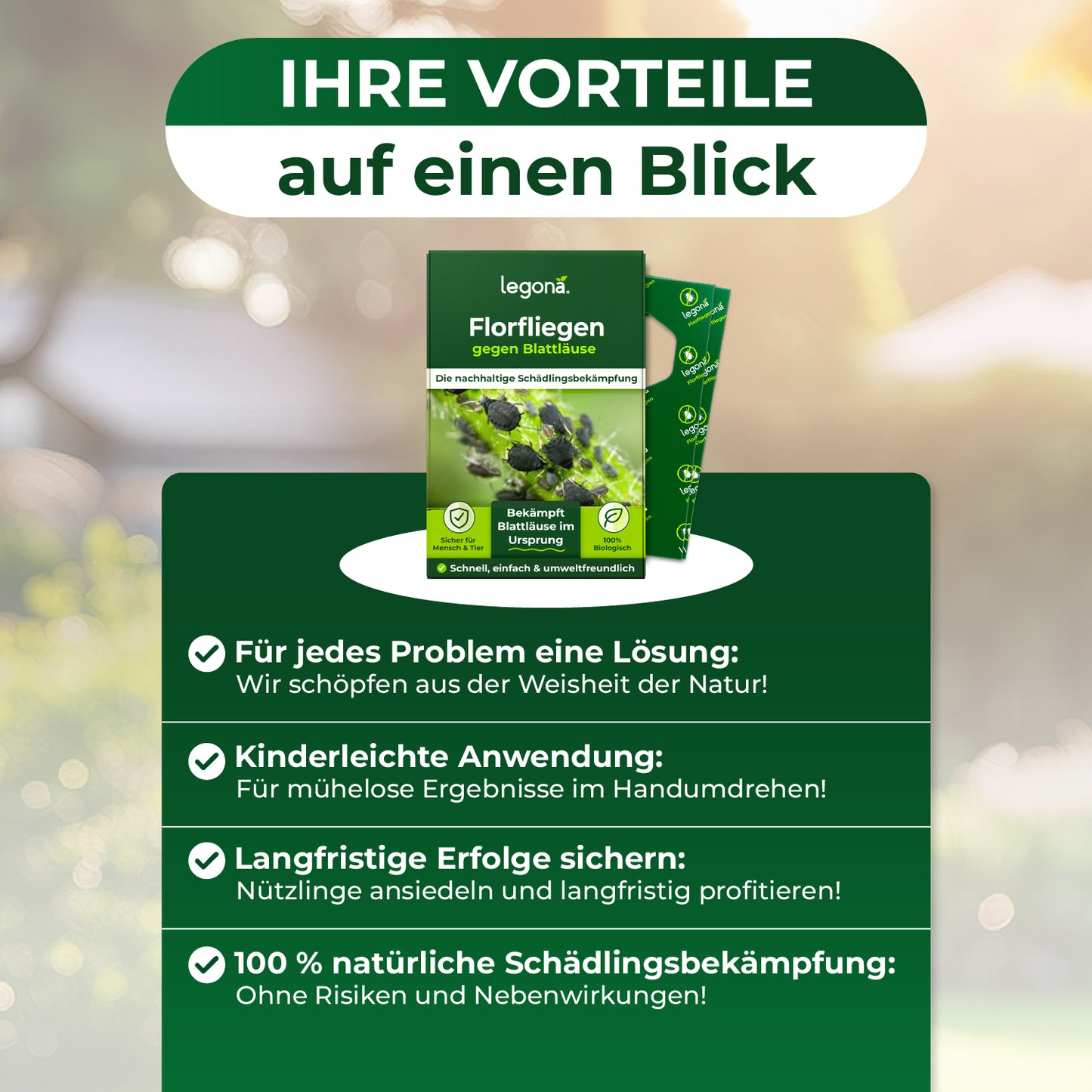 Florfliegenlarven gegen Blattläuse und Thripse