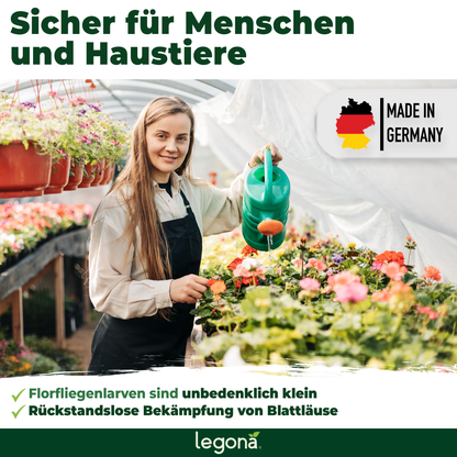 Florfliegenlarven gegen Blattläuse