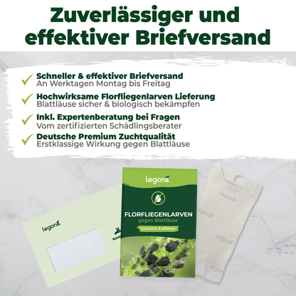 Florfliegenlarven gegen Blattläuse