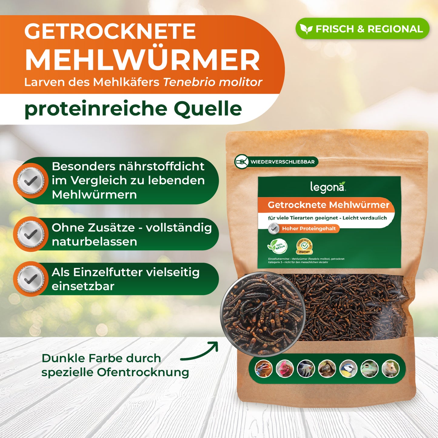 Getrocknete Mehlwürmer