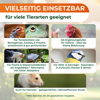 Getrocknete Mehlwürmer