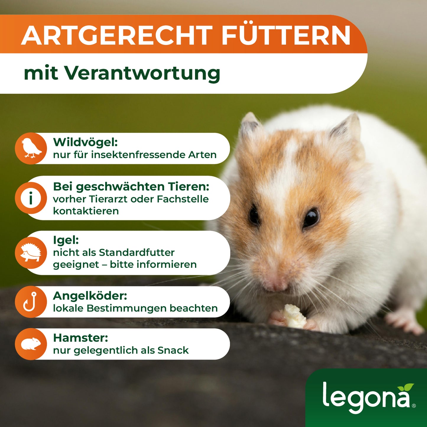 Getrocknete Mehlwürmer