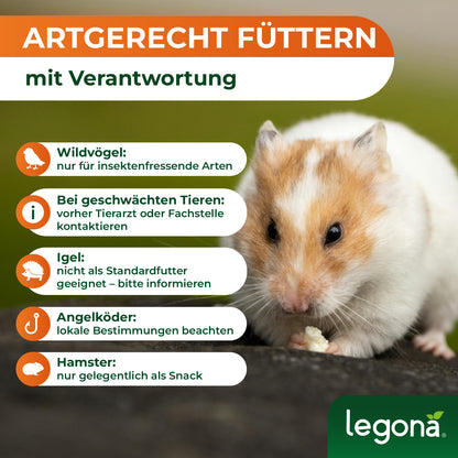 Getrocknete Mehlwürmer