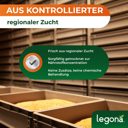 Getrocknete Mehlwürmer