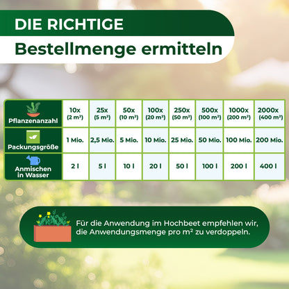 HB-Nematoden gegen Dickmaulrüssler und Engerlinge