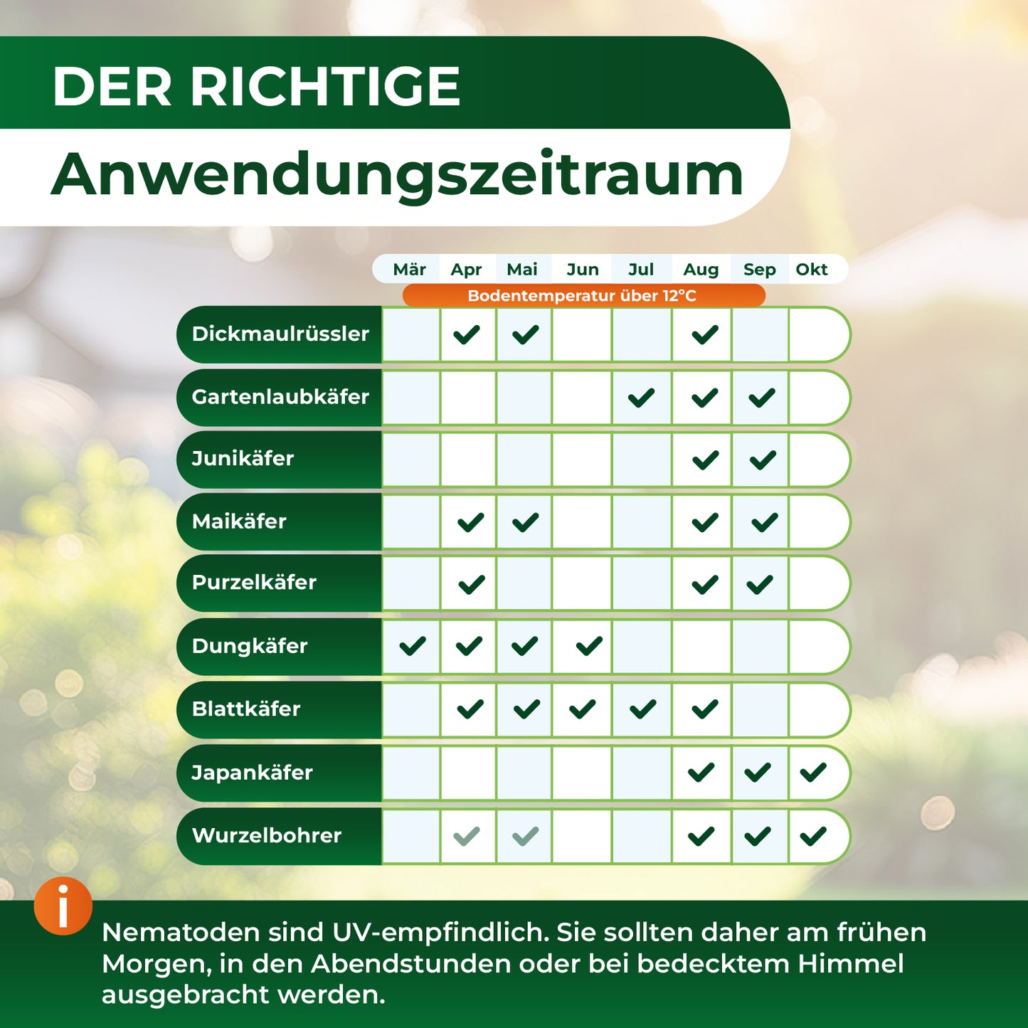 HB-Nematoden gegen Dickmaulrüssler und Engerlinge