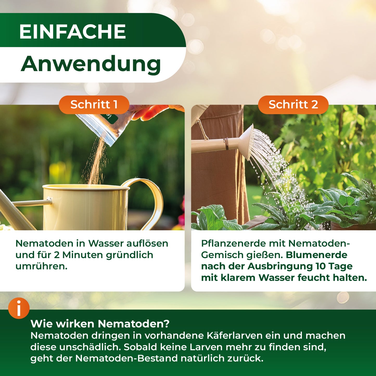 HB-Nematoden gegen Dickmaulrüssler und Engerlinge.