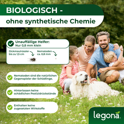 HB-Nematoden gegen Dickmaulrüssler und Engerlinge