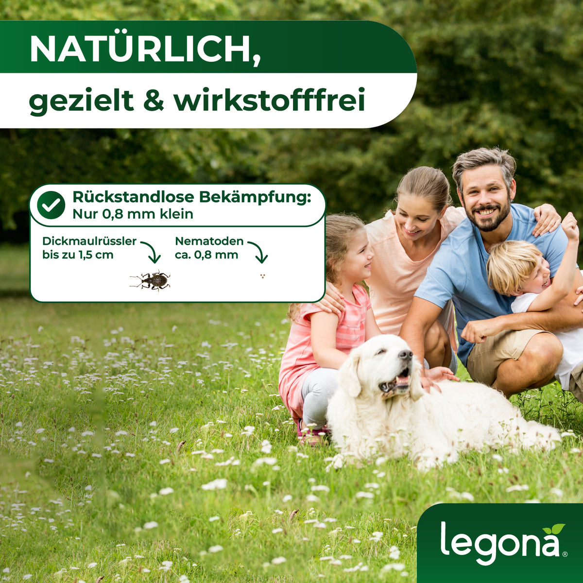 HB-Nematoden gegen Dickmaulrüssler und Engerlinge