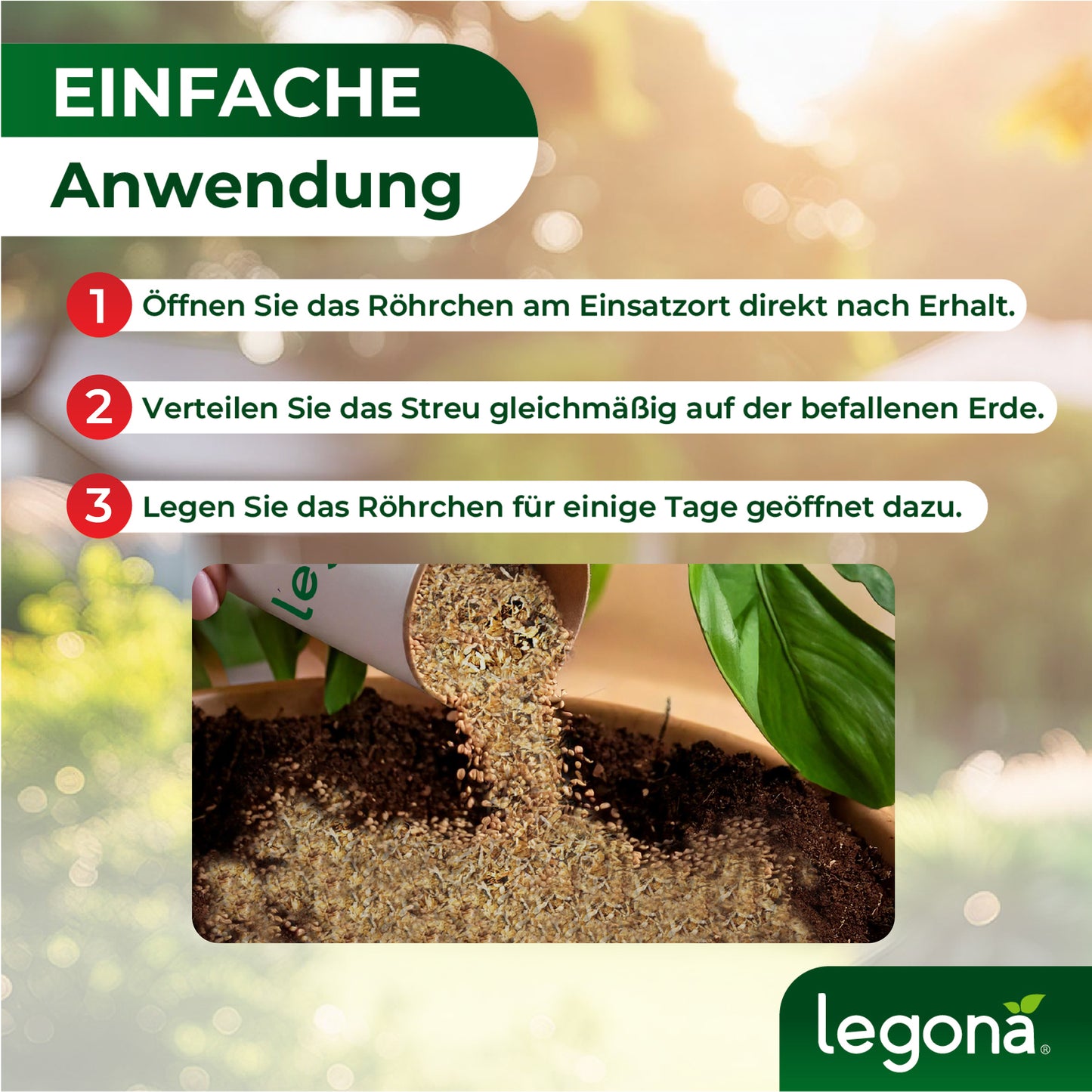 Raubmilben Hypoaspis miles gegen Thripse, Trauermücken  und die rote Vogelmilbe.