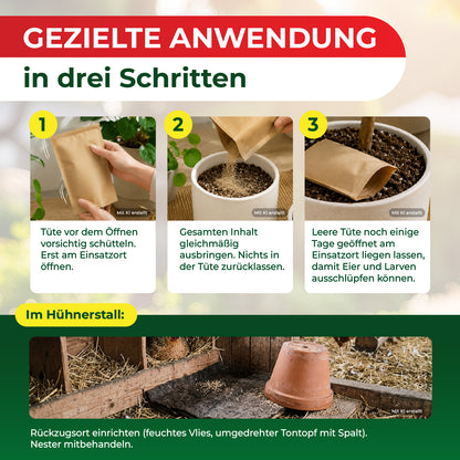 Hypoaspis miles kaufen - Raubmilben gegen die rote Vogelmilbe, Thripse & Trauermücken