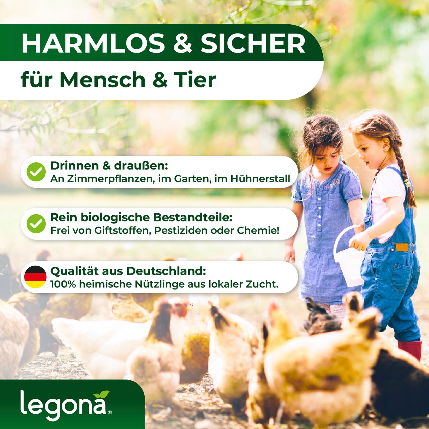 Raubmilben Hypoaspis miles gegen Thripse, Trauermücken  und die rote Vogelmilbe.