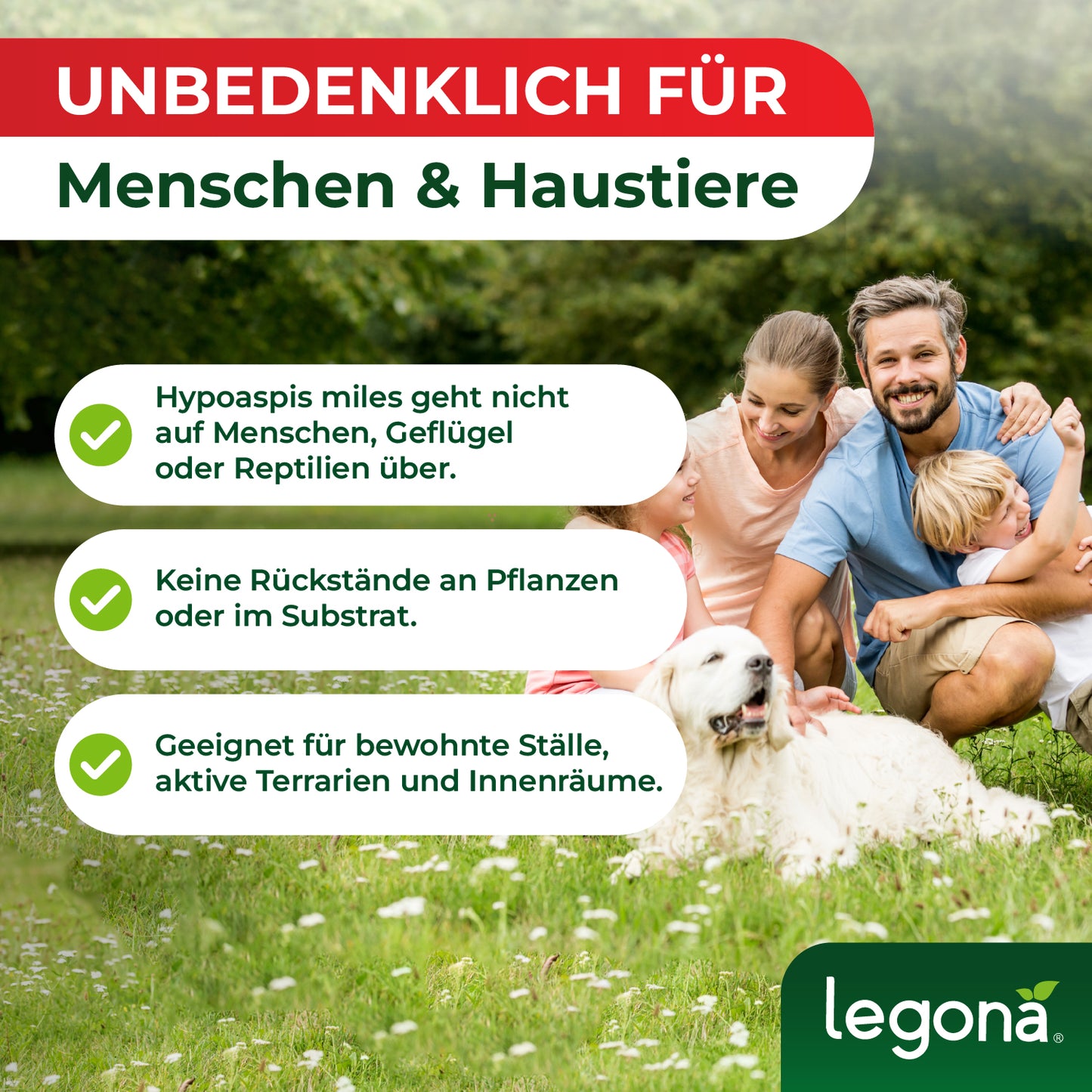 Hypoaspis miles kaufen - Raubmilben gegen die rote Vogelmilbe, Thripse & Trauermücken