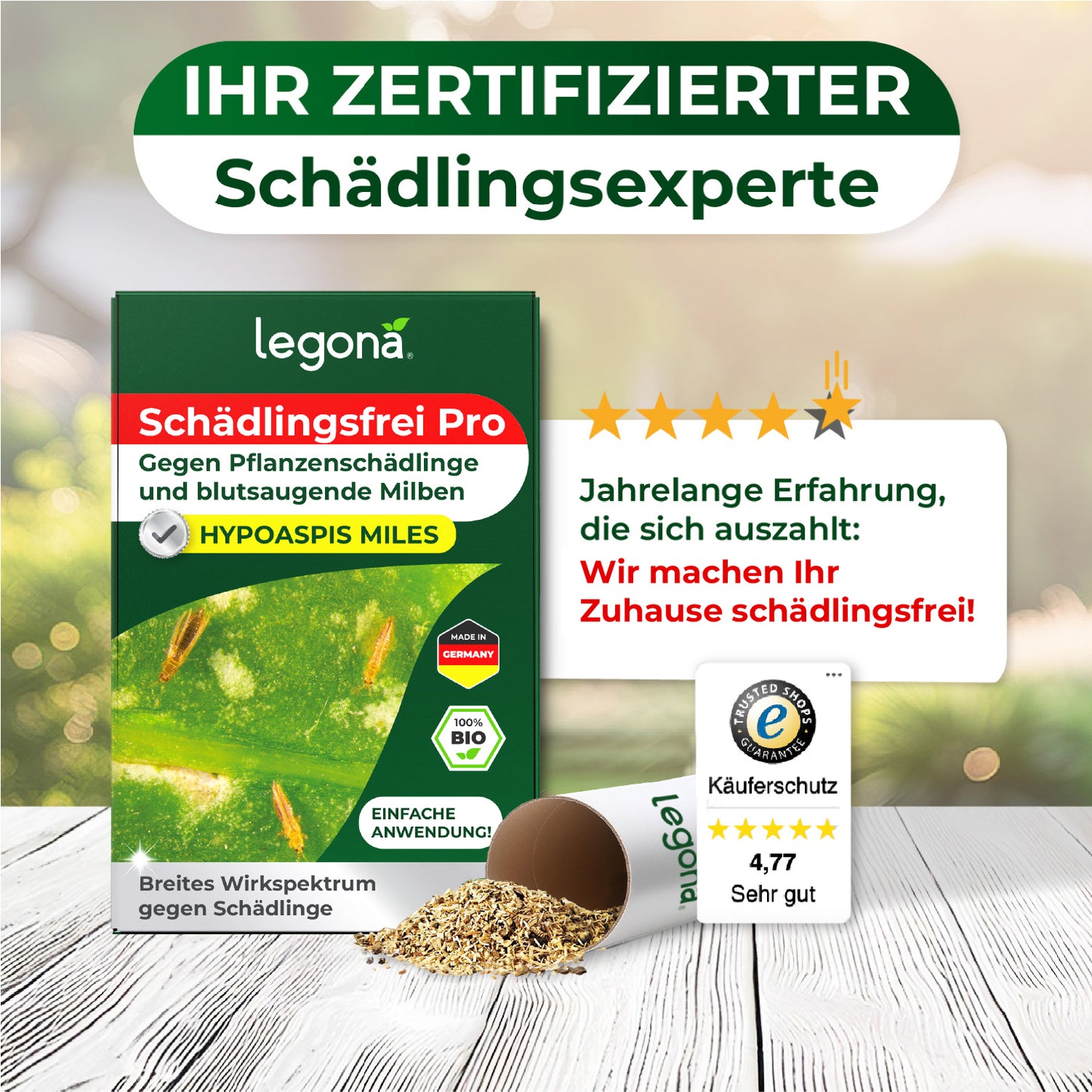 Raubmilben Hypoaspis miles gegen Thripse, Trauermücken  und die rote Vogelmilbe.