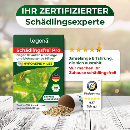 Raubmilben Hypoaspis miles gegen Thripse, Trauermücken  und die rote Vogelmilbe.