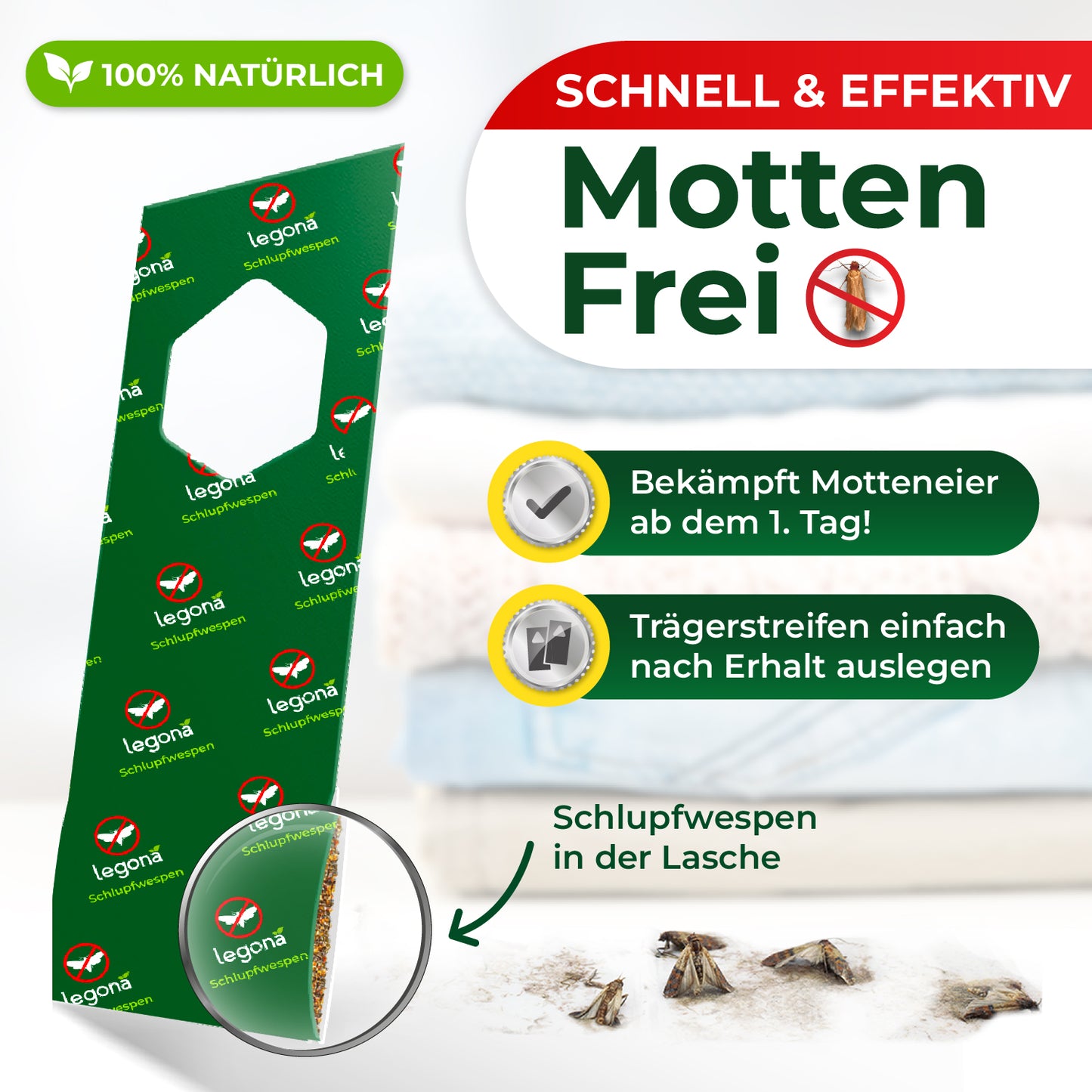Schlupfwespen gegen Kleidermotten